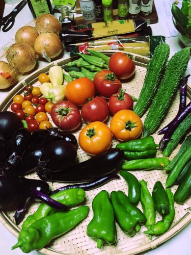 おすそ分けしてもらった夏野菜たちr2