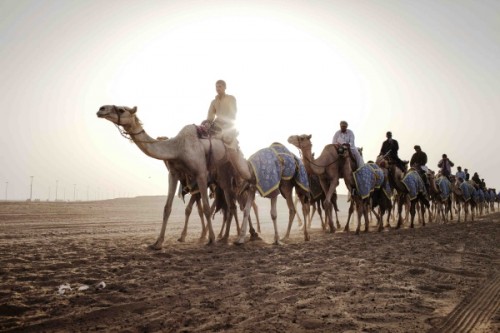 ６＿CULTURE - Camelsr