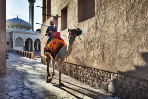 ５＿Culture_Old Dubai_Emirati riding a camelr