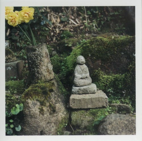 photo10