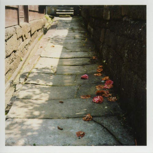 photo1