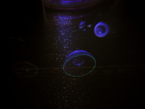 photo3