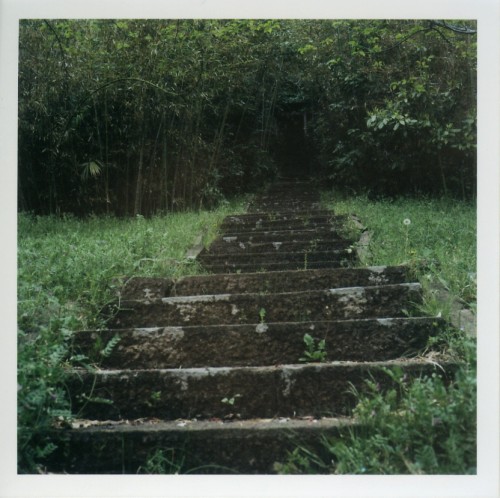photo7