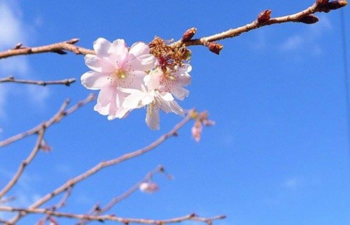 本当に“大事な言葉”だけでいい。青空みたいな「東京男子」と、曇り空の「地方男子」の魅力