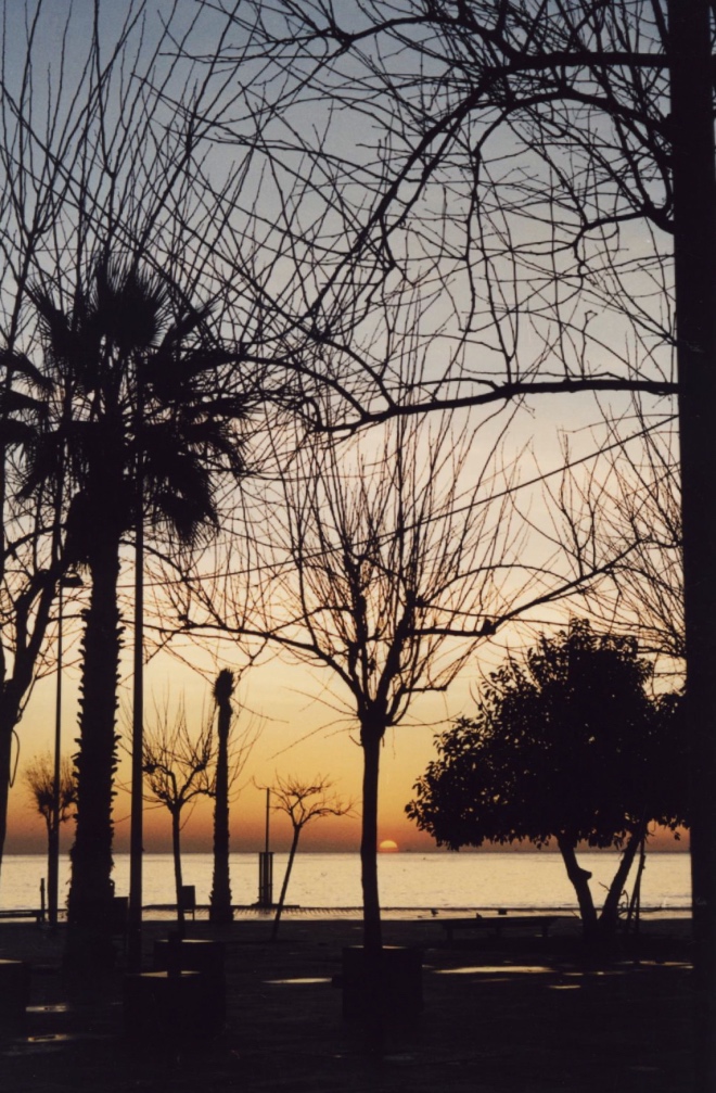 barcelona3