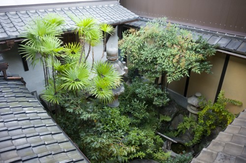 廊下からの庭、蔵