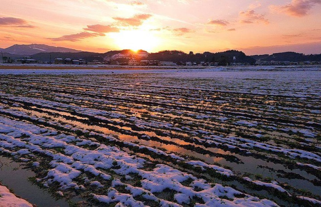 だから「方言」は面白い。言葉ひとつで“心の距離”がグッと近づく