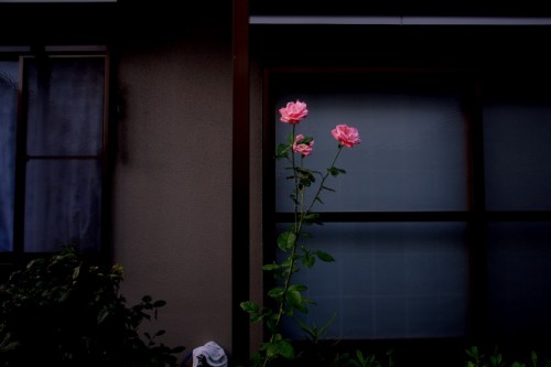 tokyo10