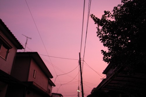 tokyo8