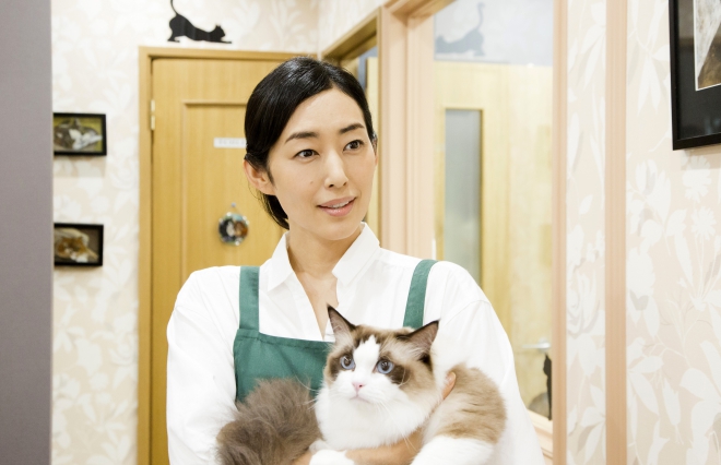 （C）2017　Hit-Point／『映画ねこあつめ』製作委員会 