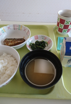 こんなのきました。