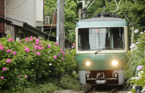 都会の生活にも満足してたけど…それでも彼女たちが鎌倉移住を決めた理由
