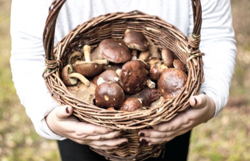 食べ過ぎを防ぐ秋の低カロリーメニュー【管理栄養士が教える】
