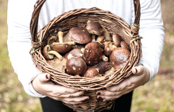 食べ過ぎを防ぐ秋の低カロリーメニュー【管理栄養士が教える】