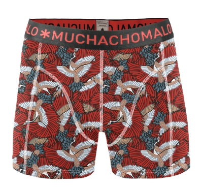 muchachomalo2
