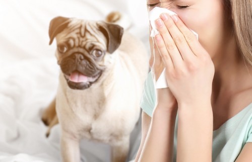 鼻水チーン、ティッシュねじねじはNG！正しい鼻のかみ方【耳鼻咽喉科専門医に聞く】