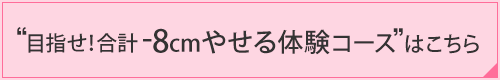 エルセーヌ２