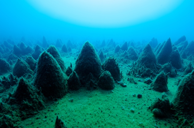南極の湖の底に広がる光景。藻やバクテリアが長い時間かけて円錐形の塊を築き上げた。こういう光景を目にした瞬間が、研究者としてもっとも幸福だと言う。