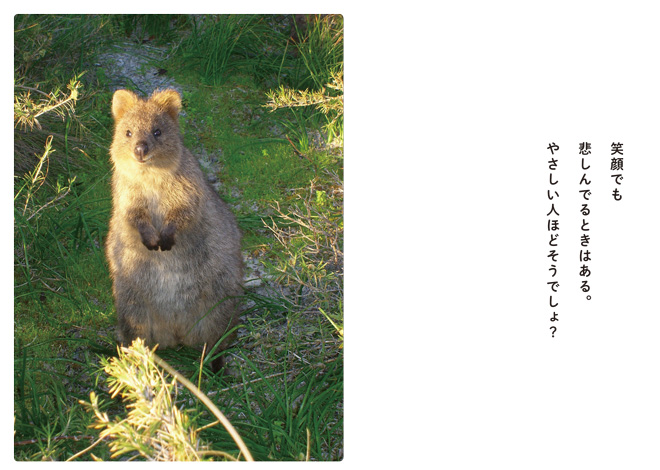 kuokka_hm_n0903-34