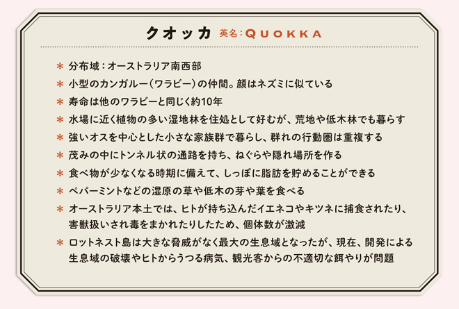 kuokka_hm_n0903-47