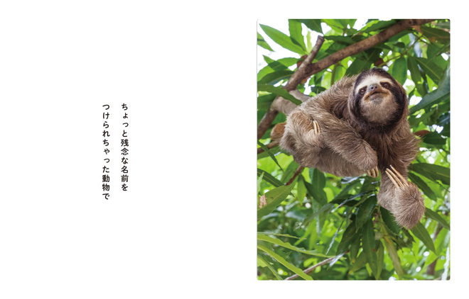 namakemono4