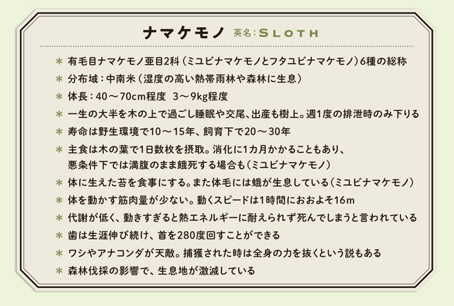 namakemono_hm_n0903-47