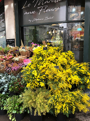 ミモザが売られている仏パリの生花店＝川原好恵撮影