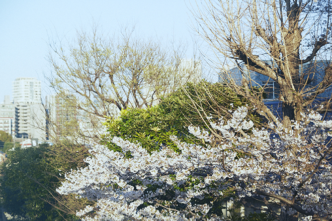 190403wotopi-0045