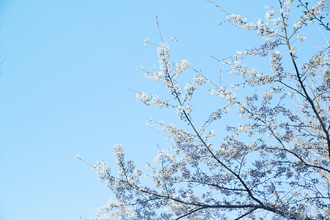 190403wotopi-0069