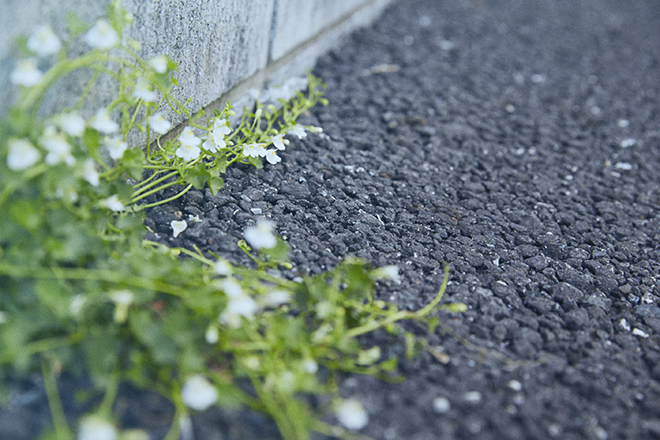 190403wotopi-0087