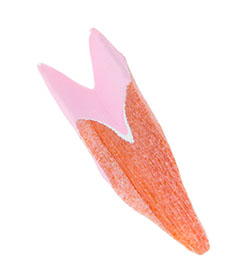 kasu