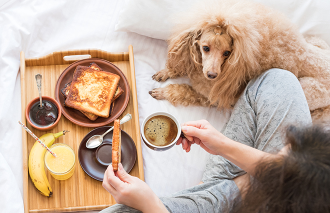 「悪玉コレステロール値が高い」と言われた！ 改善する食事法を糖尿病専門医に聞きました
