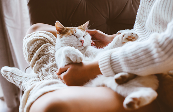 花粉症とどう違う？ 猫アレルギーの症状を抑える方法5つ【耳鼻咽喉科専門医が教える】