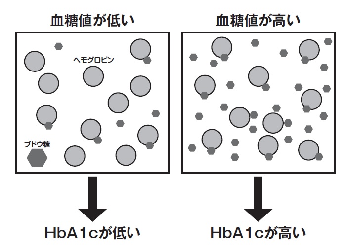 『糖尿病は自分で治す！』（福田正博　集英社）より。転載禁止。
