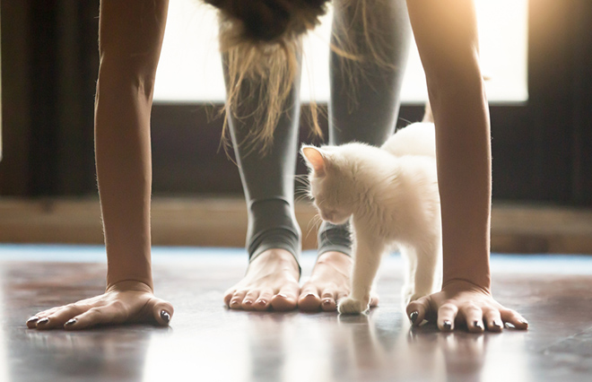 肥満とメタボの計算式で体型を確認！　脱・糖尿病予備群のためにできること【専門医が教える】