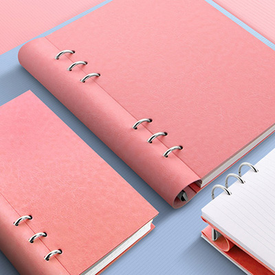 Filofax Clipbook Pastel Rose