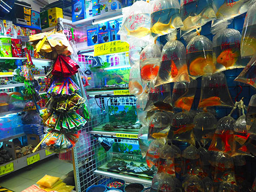 写真38