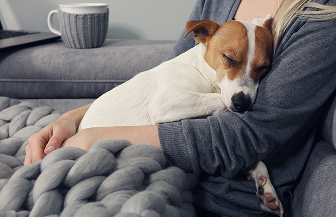 眠くてたまらない、食べすぎ…もしかして冬季うつ病？【心療内科医が教える】