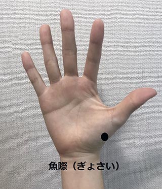 魚際