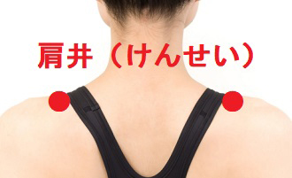 肩井1