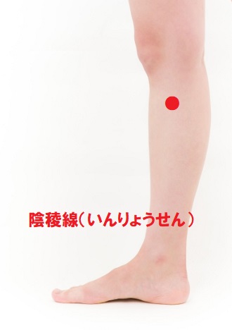 陰稜線