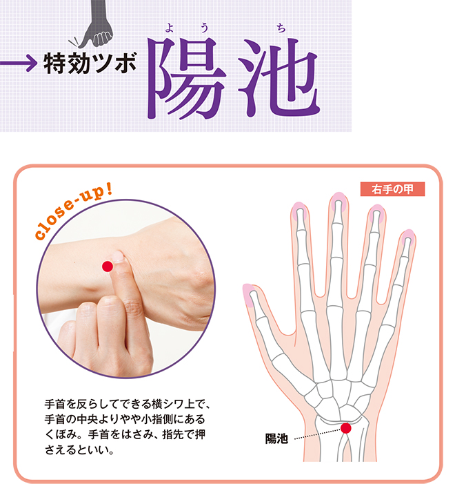 NH_ヨガ01-020-031.indd