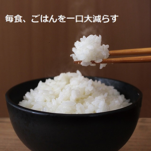 201017_ごはん減らすs