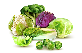 野菜