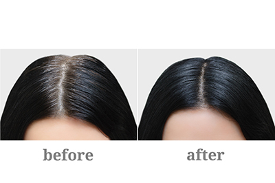 Head,Of,A,Girl,With,Black,Gray,Hair.,Hair,Coloring.