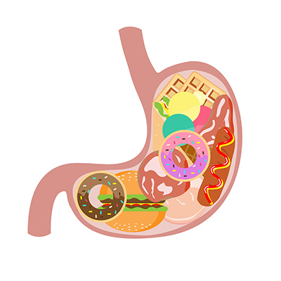 Stomach,With,Fast,Food,Inside,Vector