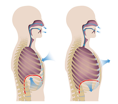 Human,Respiration,(inhalation,And,Exhalation)