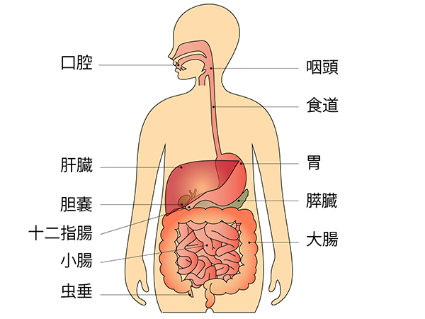 210409_01_消化器