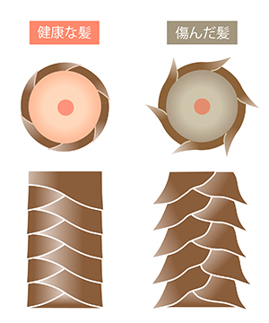 ac髪丸と縦レイヤ