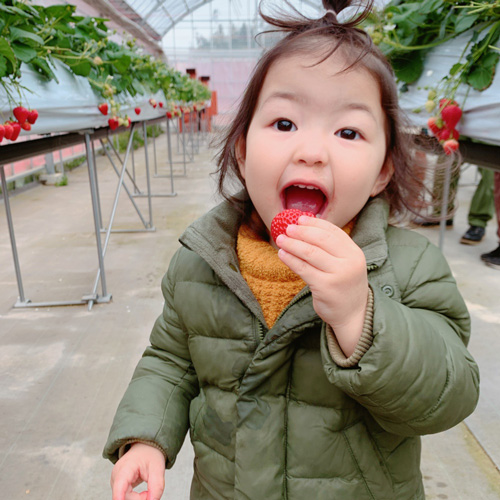 天真爛漫な娘はもうすく3歳
